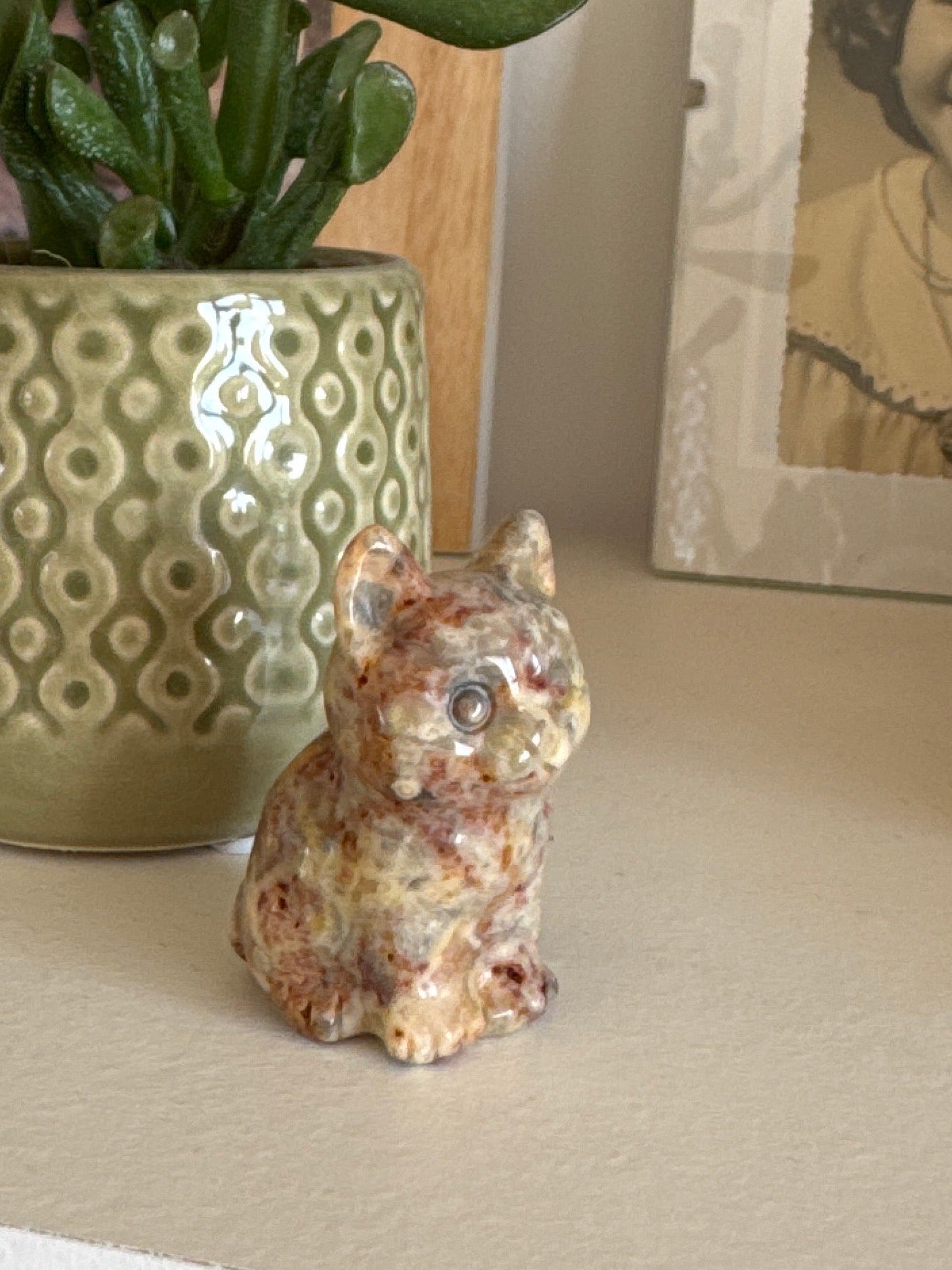 Chat Agate Crazy Lace