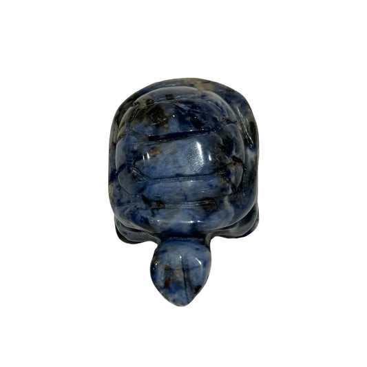 Tortue Sodalite