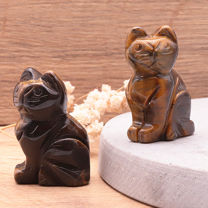 Chat Oeil de Tigre N*2