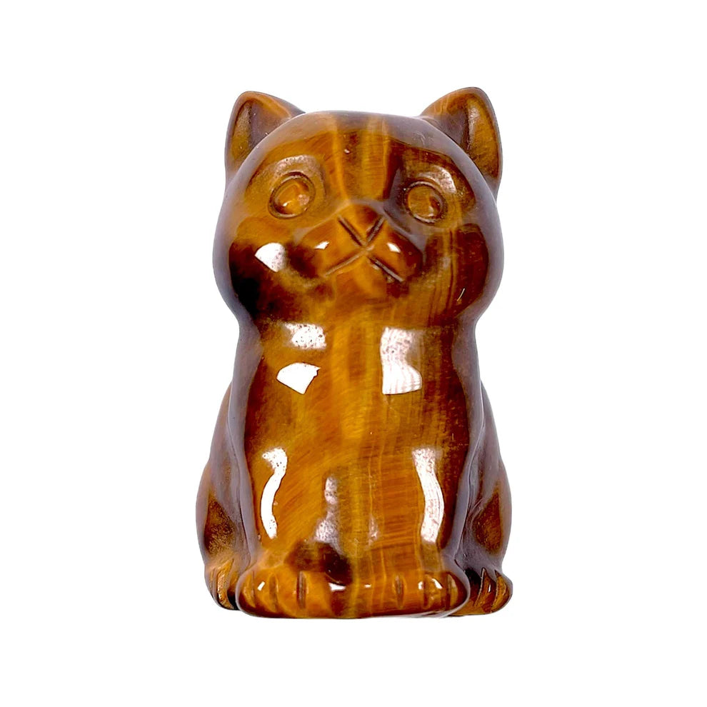 Chat Oeil de Tigre
