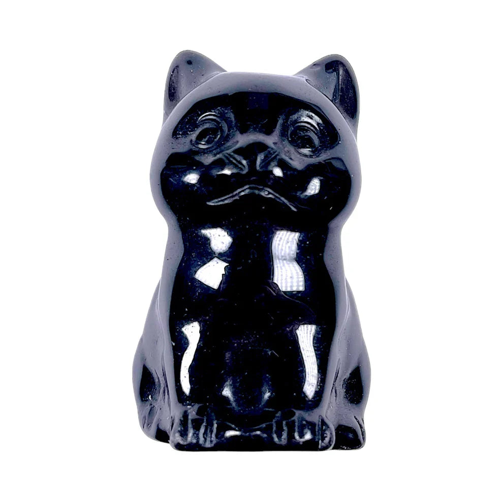 Chat Obsidienne Noire