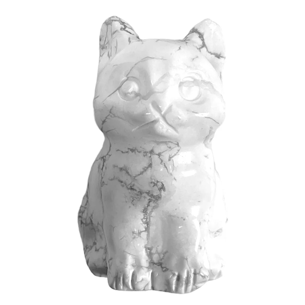 Chat Howlite