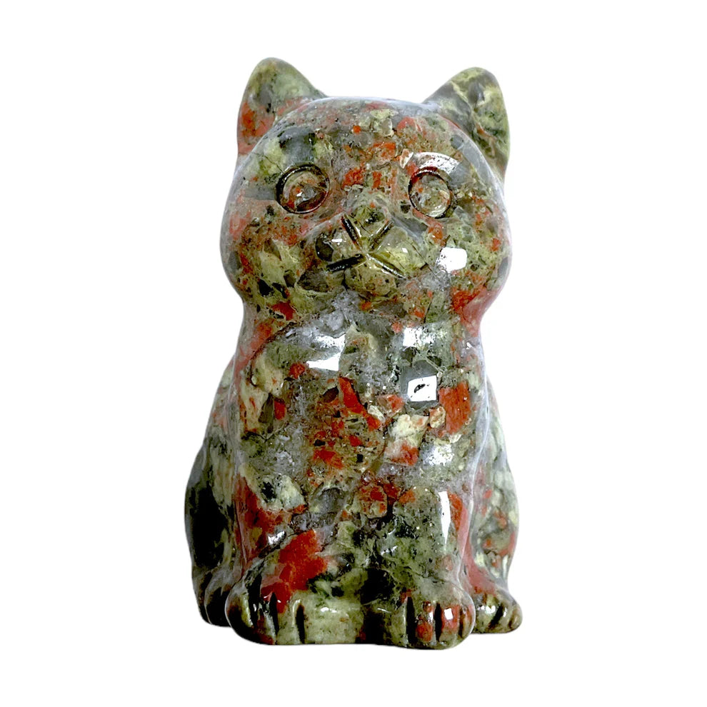 Chat Jaspe Unakite