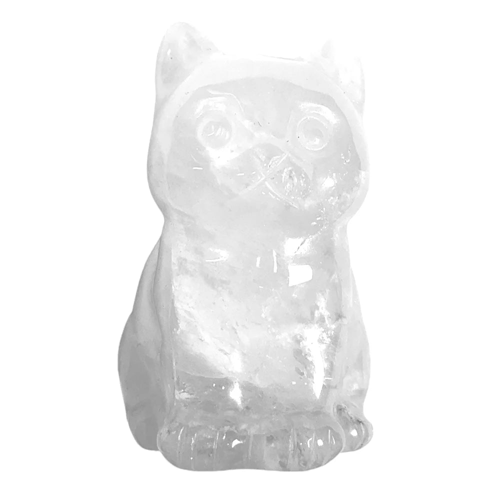 Chat Cristal de Roche