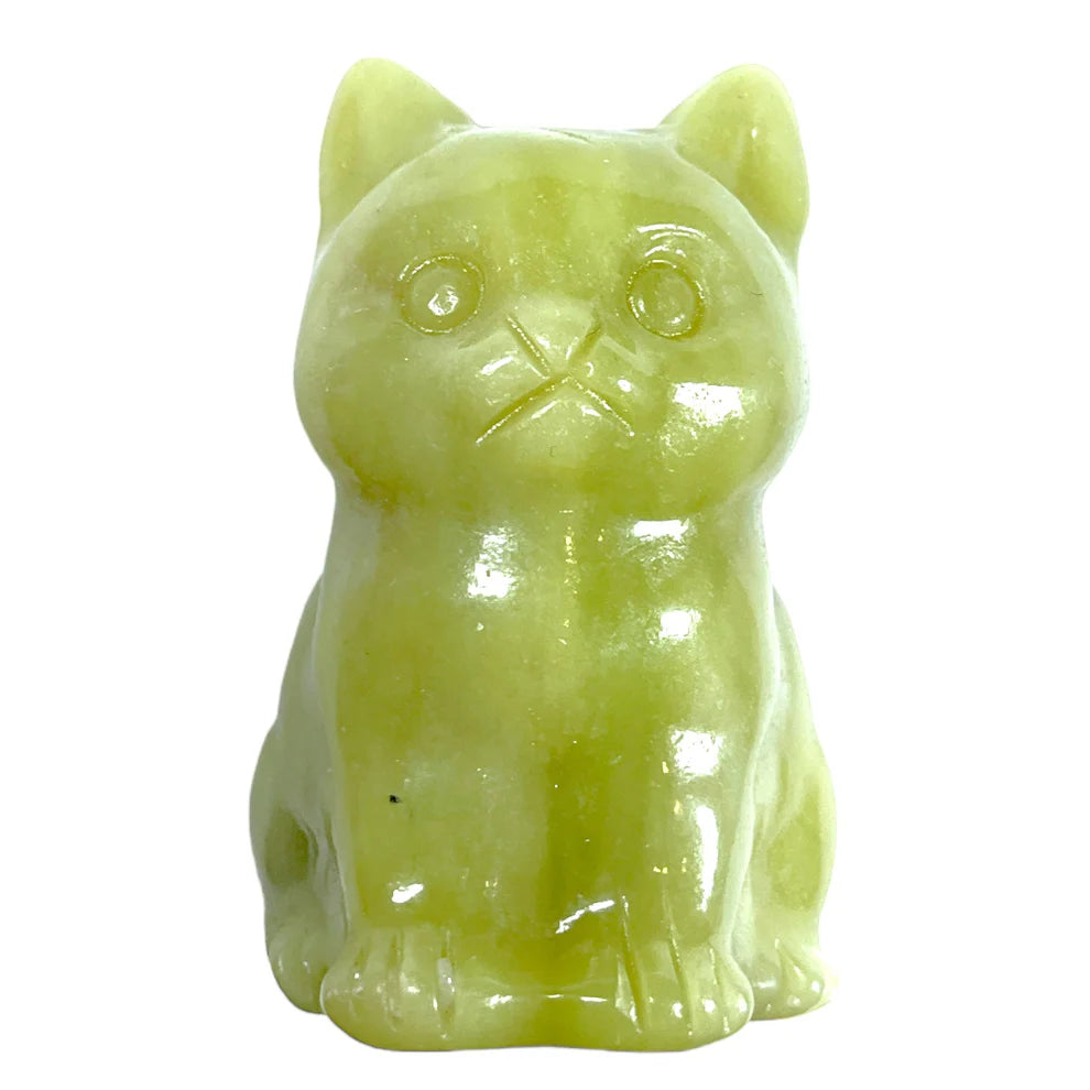 Chat Jade citron