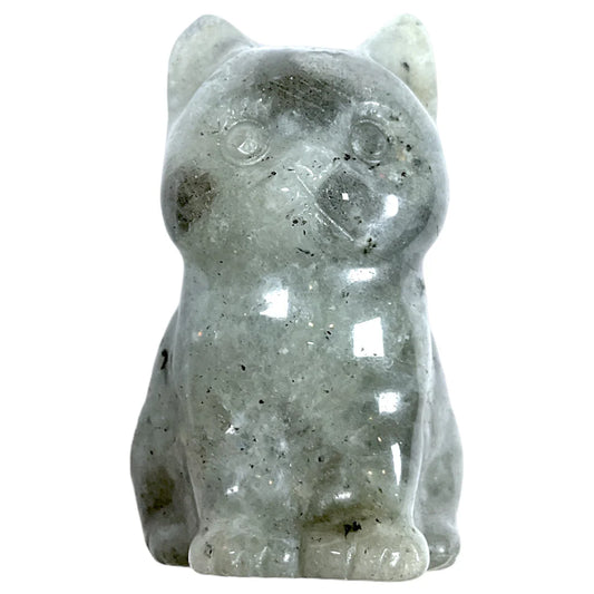 Chat Labradorite