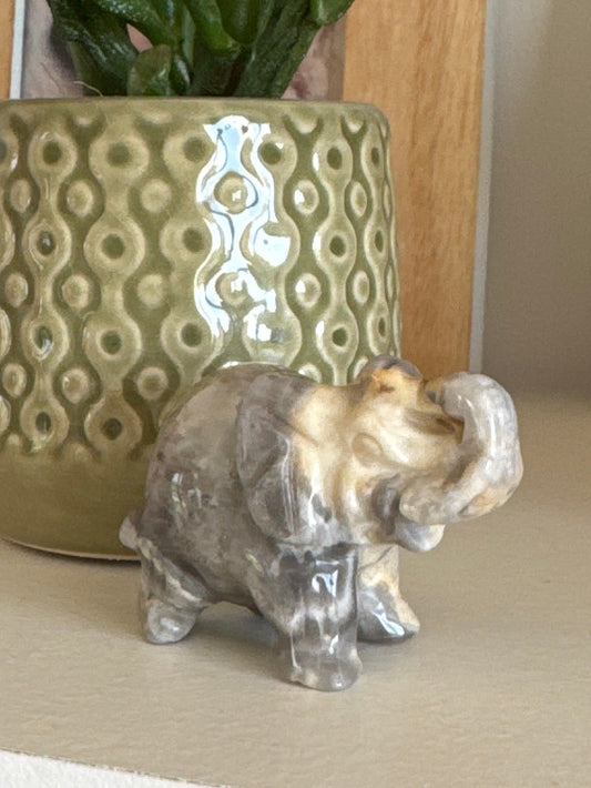 Eléphant Agate Crazy Lace