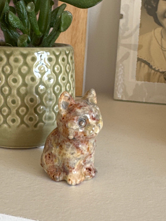 Chat Agate Crazy Lace