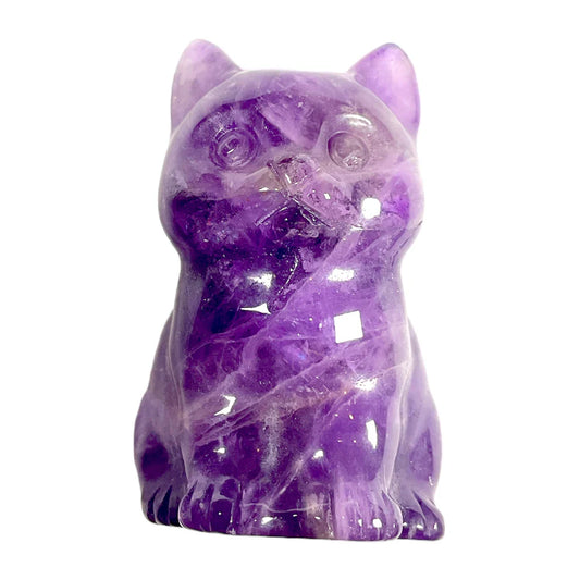 Chat Améthyste