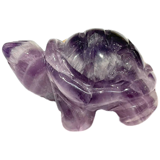 Tortue Améthyste