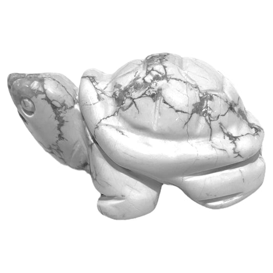 Tortue Howlite