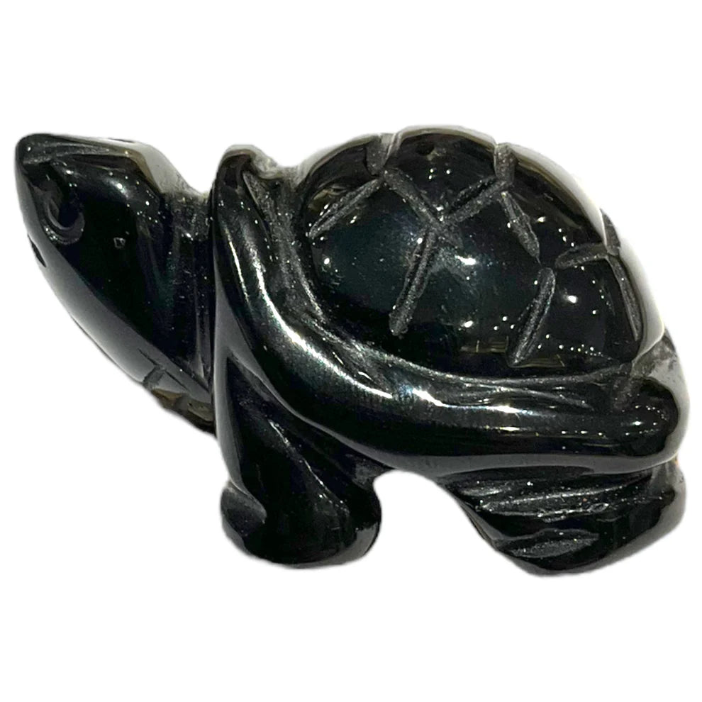 Tortue Obsidienne Noire