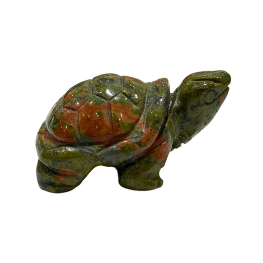 Tortue Jaspe Unakite
