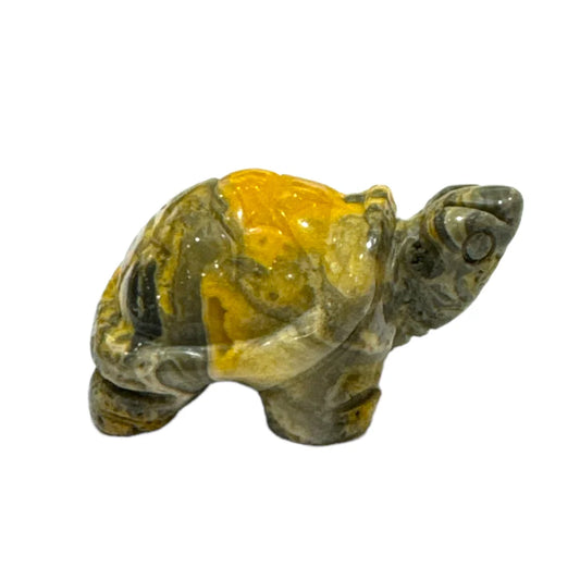 Tortue Agate Crazy Lace