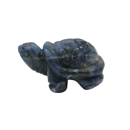 Tortue Sodalite