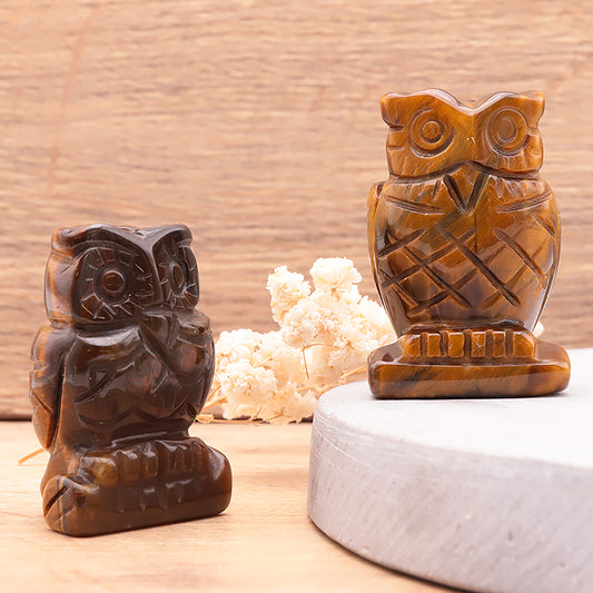 Chouette Œil de Tigre