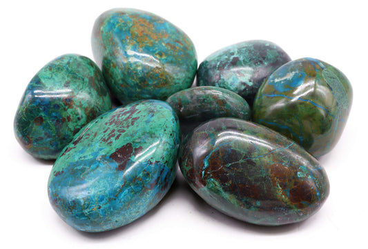 Chrysocolle A