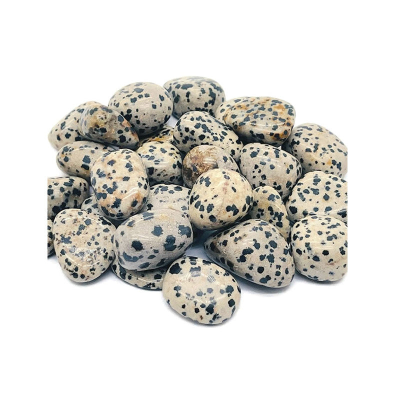 Jaspe Dalmatien